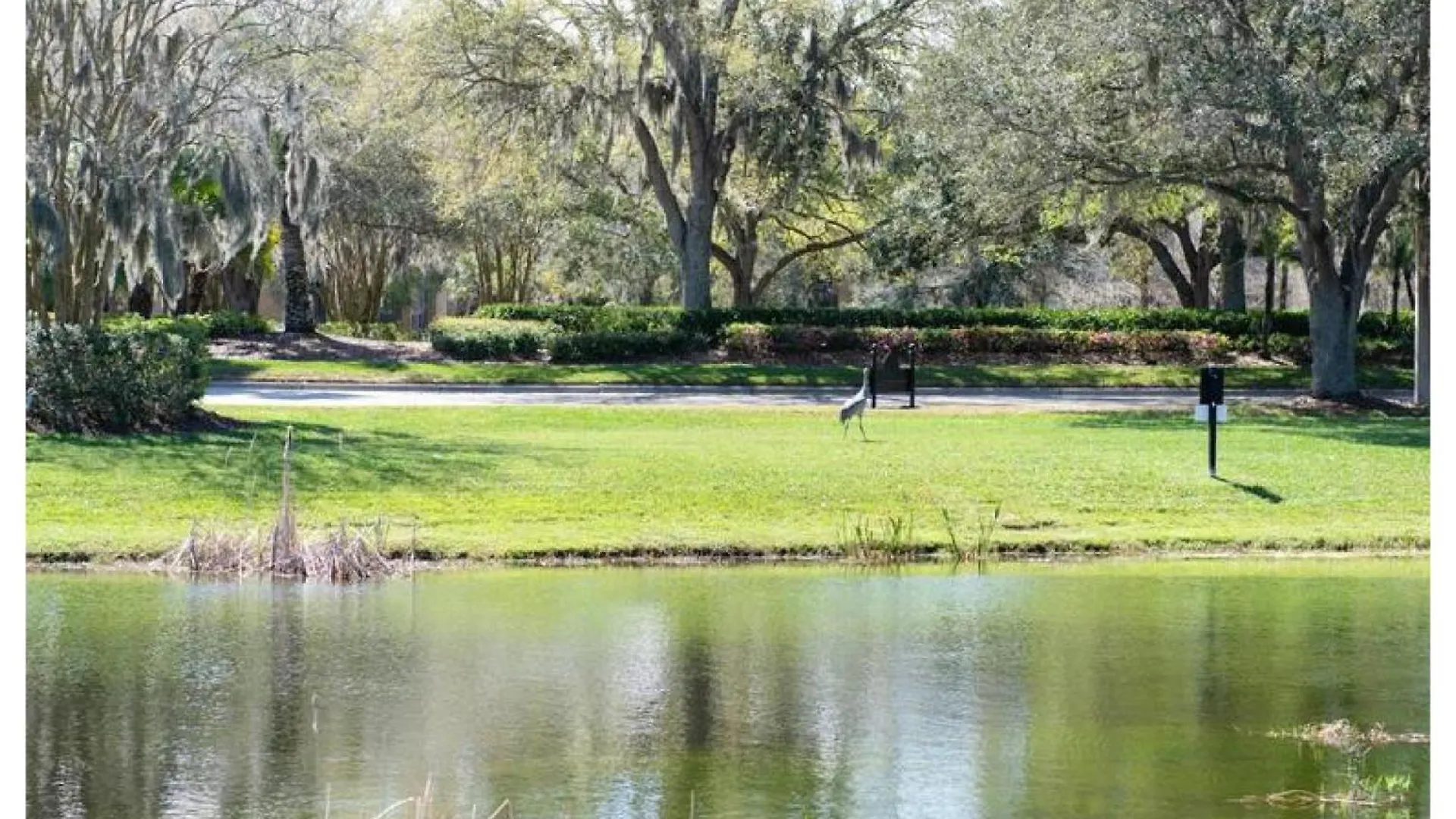Ferienhaus Upscale Long Stay -King Bed - Pool - Wifi - Tampa Palms - Moffitt - Gated - Pets Ok - In New Tampa By Hunters Green - Live Oak - Cory Lake Isles Area -1